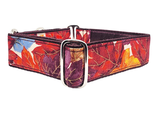 1.5 Inch Wide Watercolor Fall Leaves Dog Collar by The Hound Haberdashery