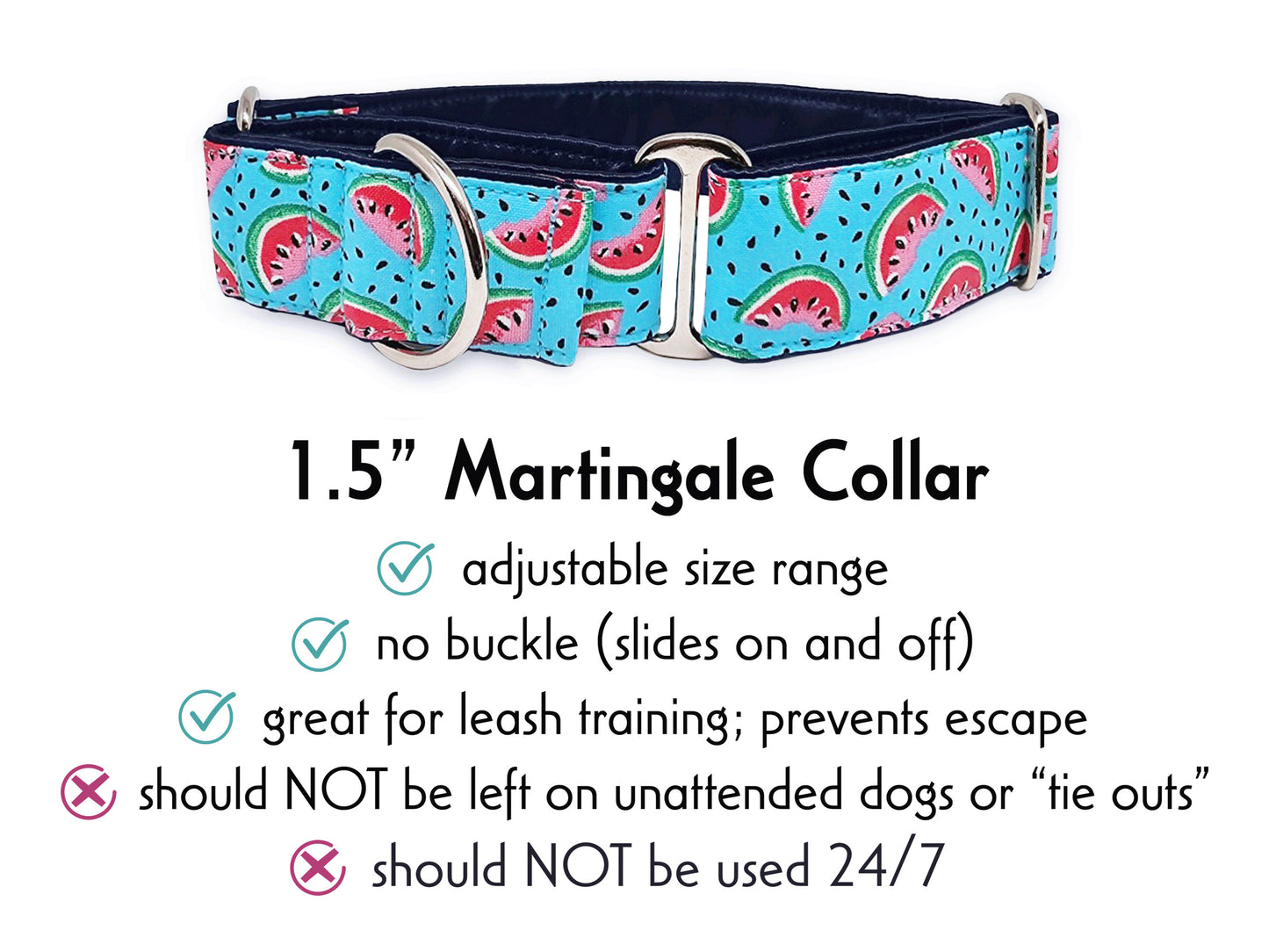 1.5 Inch Wide Watermelon Slices Martingale Dog Collar by The Hound Haberdashery