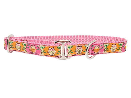 Tag Collar - Owls in Pink & Orange - 3/4 Inch Width