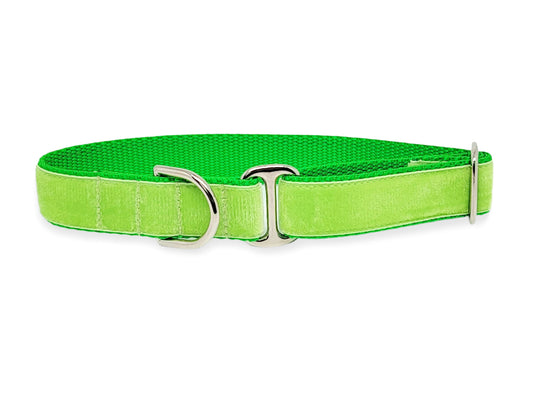 Lime Green Velvet Dog Tag Collar by The Hound Haberdashery